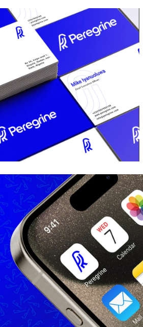 Project Preview